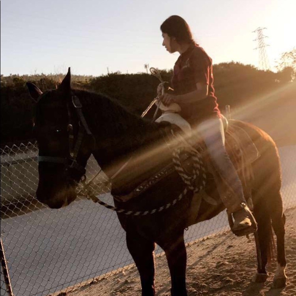 Meet your Posher, Katalina